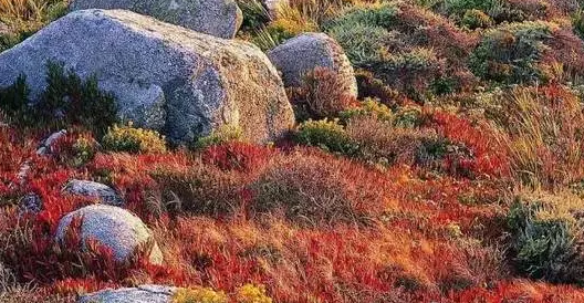 混凝土,環保
